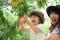 【高山水蜜桃】拉拉山水蜜桃採果趣、來去國家森林遊樂區環抱神木一日遊