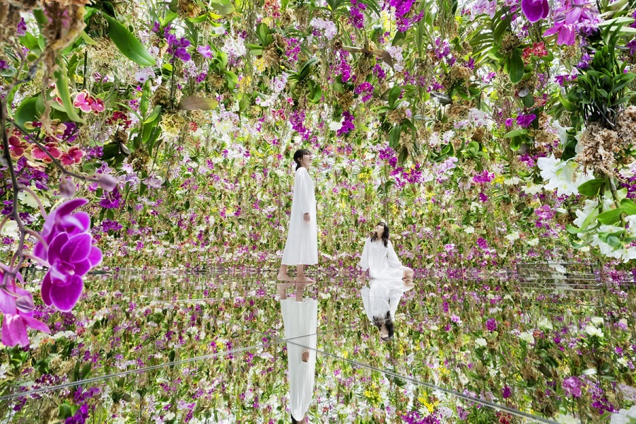 【日本】東京｜teamLab Planets 豐洲新型態美術館 | 門票