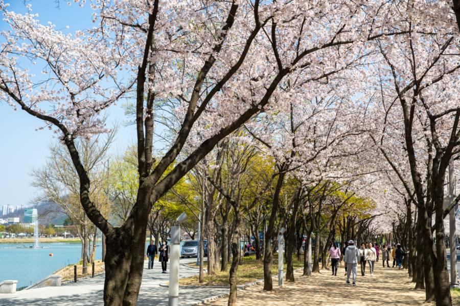 韓國| 壽城池遊客中心介紹、交通地圖、周遭景點、住宿、必買票券總整理｜東南旅遊