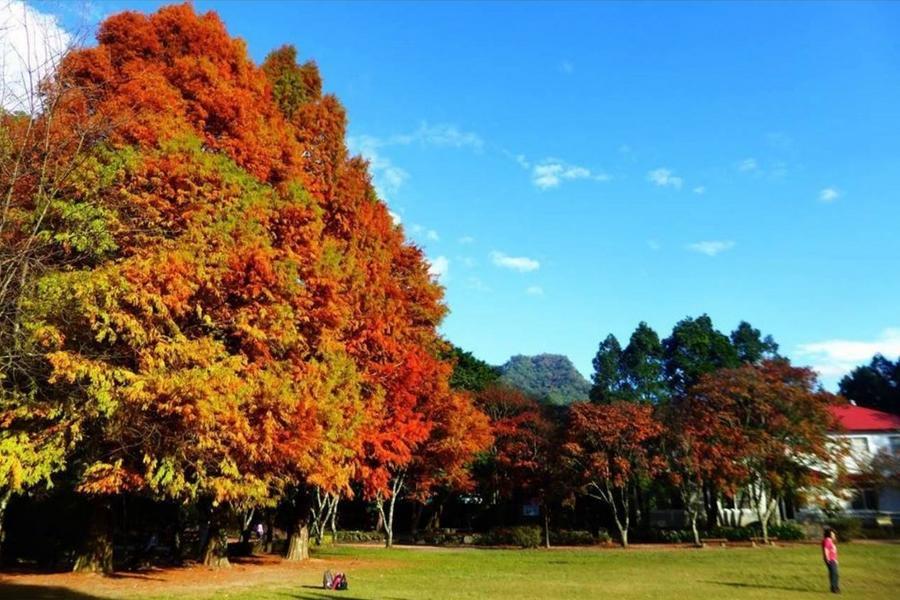 台灣 奧萬大森林遊樂區介紹 交通地圖 周遭景點 住宿 必買票券總整理 東南旅遊